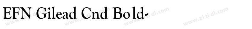 EFN Gilead Cnd Bold字体转换